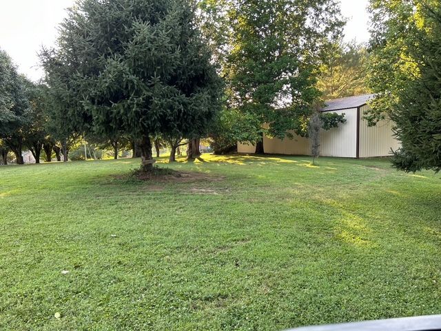 203 Terry Ln, Cornersville, TN 37047