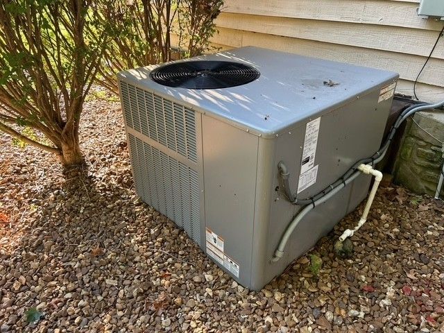 203 Terry Ln, Cornersville, TN 37047