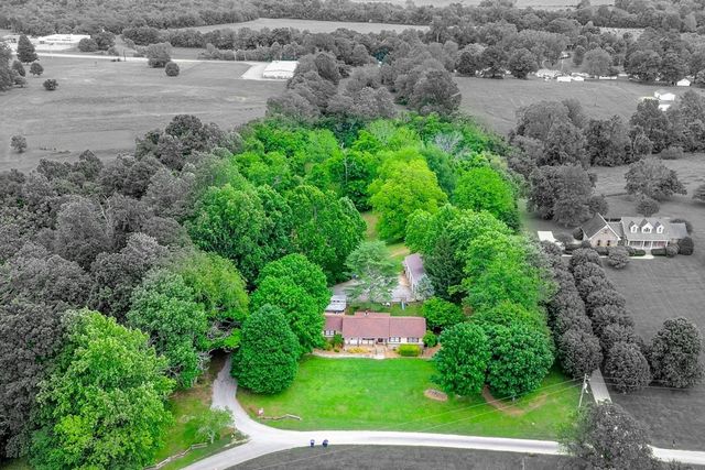 203 Terry Ln, Cornersville, TN 37047