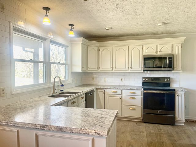 203 Terry Ln, Cornersville, TN 37047