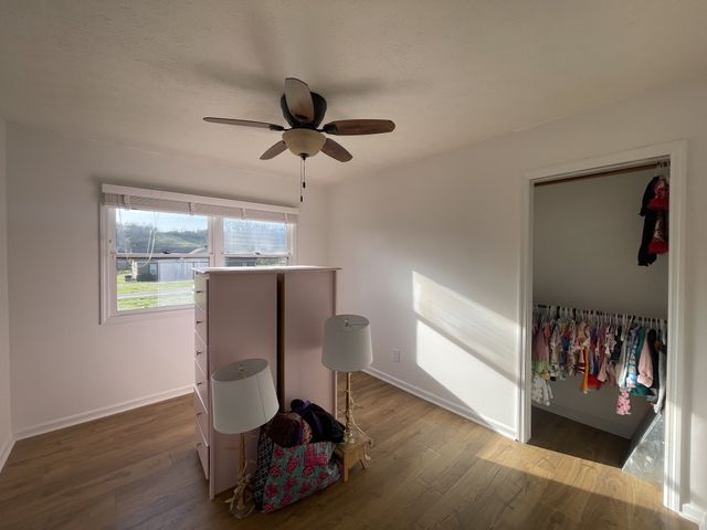 203 Terry Ln, Cornersville, TN 37047