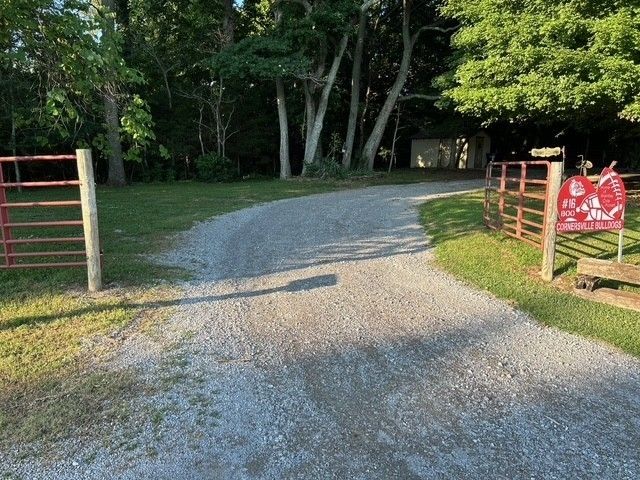 203 Terry Ln, Cornersville, TN 37047