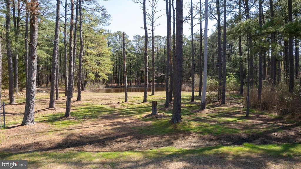 Image 21 of property listing at 5213 DAVID GREENE RD, Cambridge, MD 21613