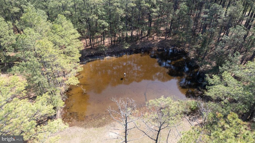 Image 24 of property listing at 5213 DAVID GREENE RD, Cambridge, MD 21613