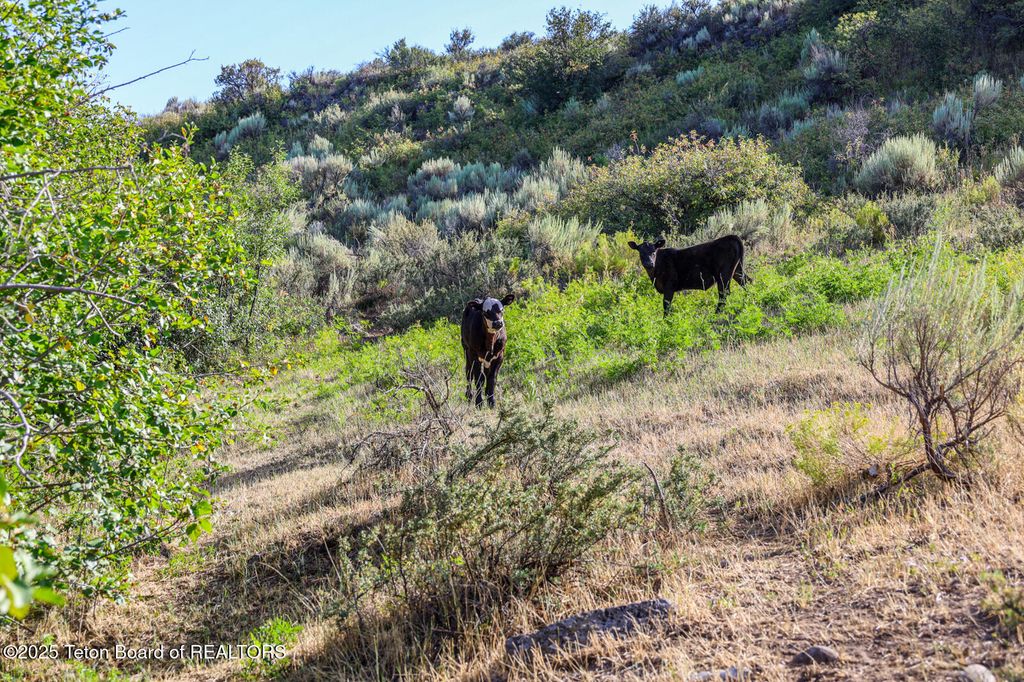 TBD TBD E 1200 N, Ashton, ID 83420 photo 13