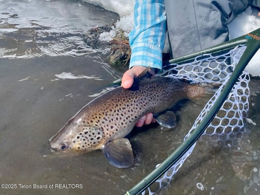 TBD TBD E 1200 N, Ashton, ID 83420 photo 16