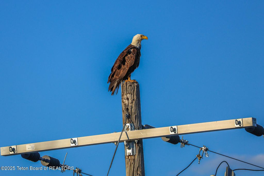 TBD TBD E 1200 N, Ashton, ID 83420 photo 18