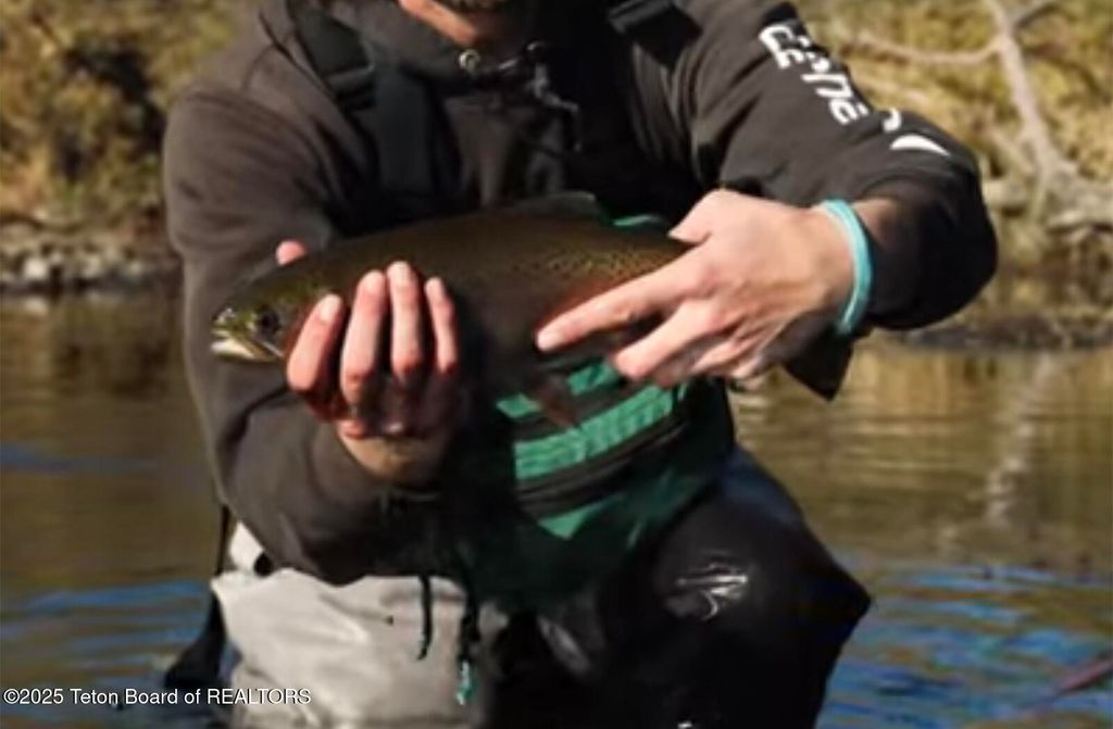 TBD TBD E 1200 N, Ashton, ID 83420 photo 20