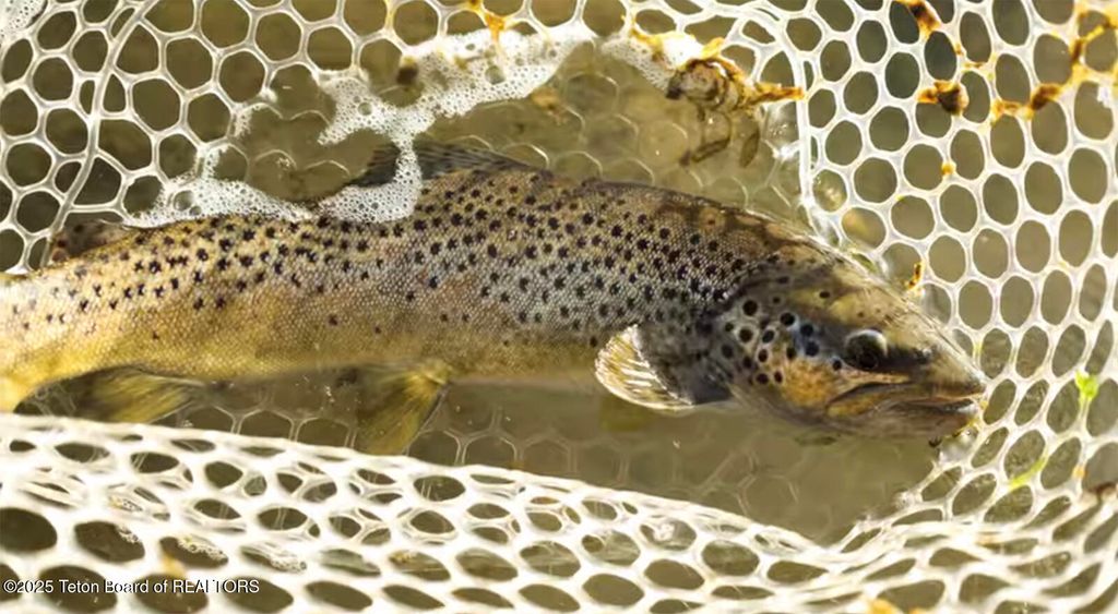 TBD TBD E 1200 N, Ashton, ID 83420 photo 21