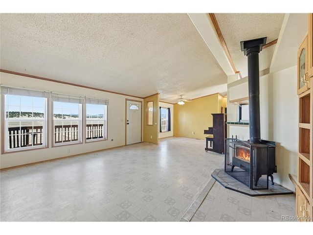 4441 Goldenburg Canyon Rd, Hartsel, CO 80449