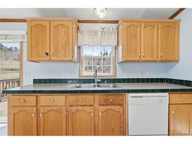 4441 Goldenburg Canyon Rd, Hartsel, CO 80449