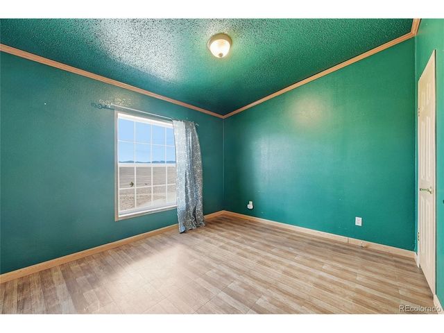 4441 Goldenburg Canyon Rd, Hartsel, CO 80449