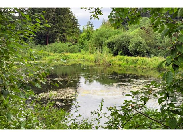 217 Nw 117TH Loop, Portland, OR 97229