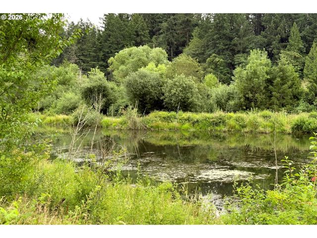 217 Nw 117TH Loop, Portland, OR 97229