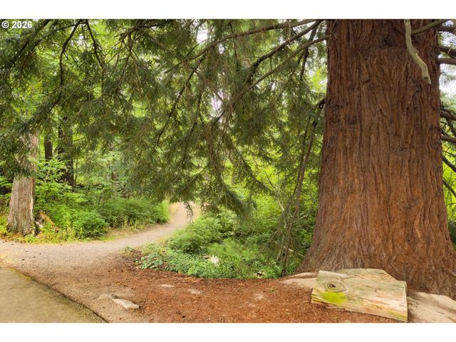 217 Nw 117TH Loop, Portland, OR 97229