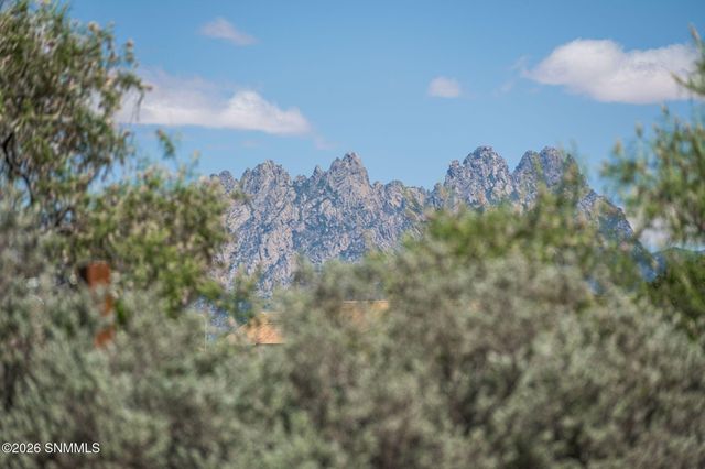 2090 Wagon Mound, Las Cruces, NM 88012