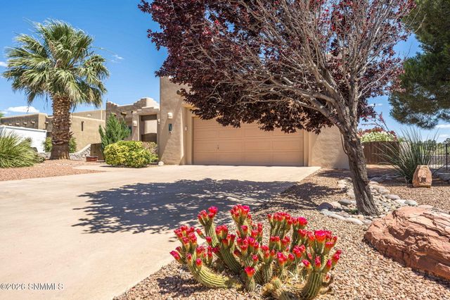 2090 Wagon Mound, Las Cruces, NM 88012