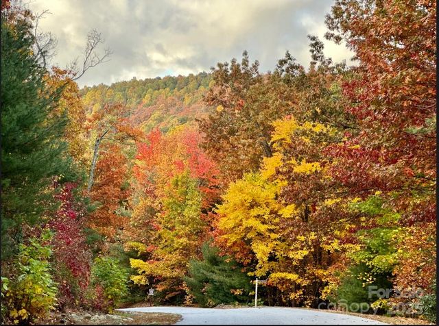 91 Boone Cove Road, Zirconia, NC 28790