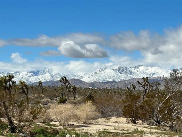7374 Olympic Road, Joshua Tree, CA 92252