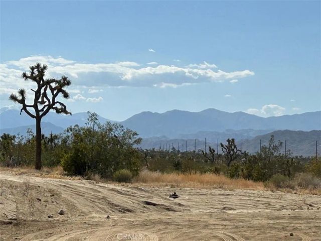 7374 Olympic Road, Joshua Tree, CA 92252