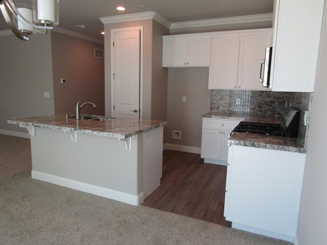 514 Bellflower Cir, Ione, CA 95640