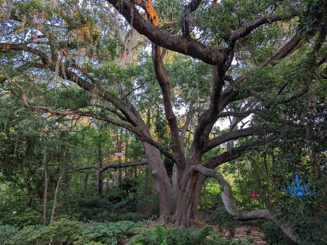 2912 Quail Rise Court, Tallahassee, FL 32309