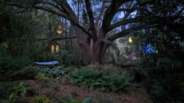 2912 Quail Rise Court, Tallahassee, FL 32309