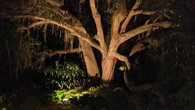 2912 Quail Rise Court, Tallahassee, FL 32309