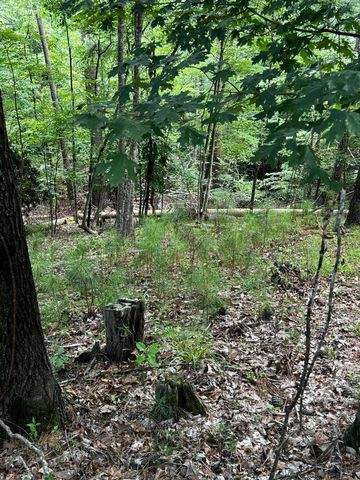 L5 B17 Creekside Cove, Mc Cormick, SC 29835