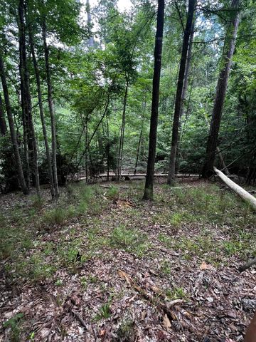 L5 B17 Creekside Cove, Mc Cormick, SC 29835