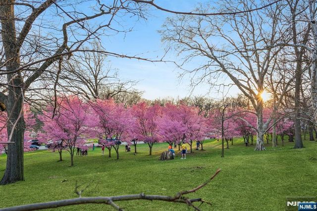 363-377 Mt Prospect Avenue 6DW, Newark, NJ 07104