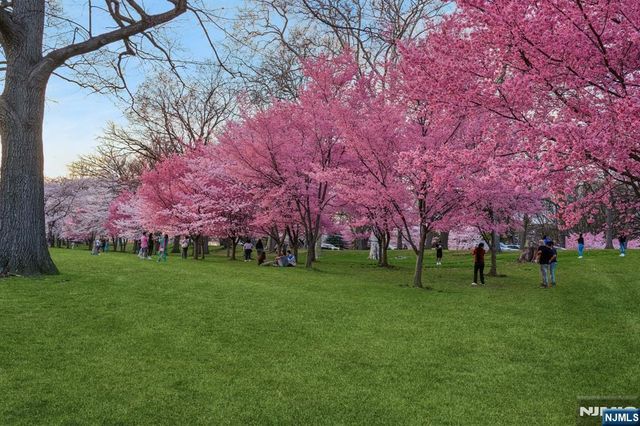 363-377 Mt Prospect Avenue 6DW, Newark, NJ 07104