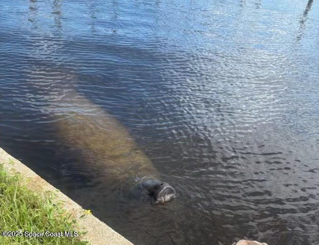 3949 Canal Drive, Sebastian, FL 32976