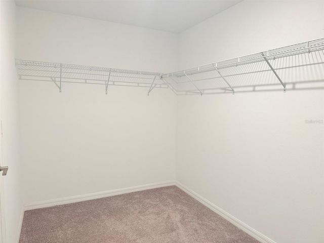 35007 BRACKETT BEND, Zephyrhills, FL 33541