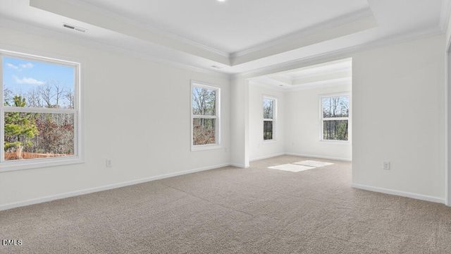 208 Joyful Stone Drive, Clayton, NC 27520