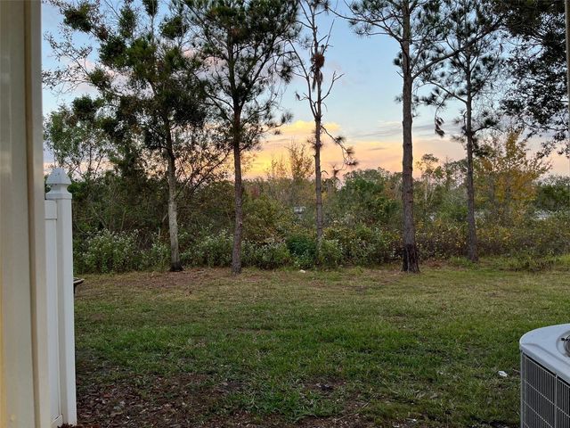 2557 AVENTURINE STREET, Kissimmee, FL 34744