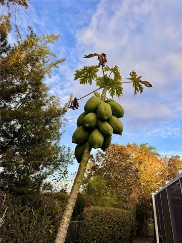 1249 LAKE POINT DRIVE, Lakeland, FL 33813