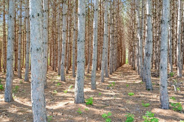 5895 5th Avenue NE, Sauk Rapids, MN 56379