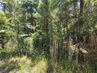 0000 NE 66TH AVENUE, Citra, FL 32113
