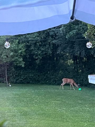 3604 Platt Road, Ann Arbor, MI 48108