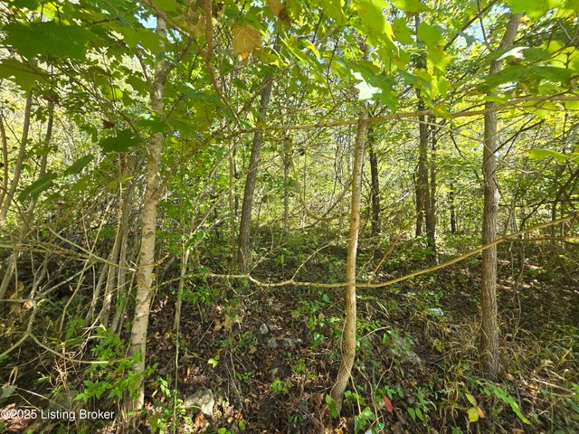 5 Creekwood Dr, Mt Washington, KY 40047