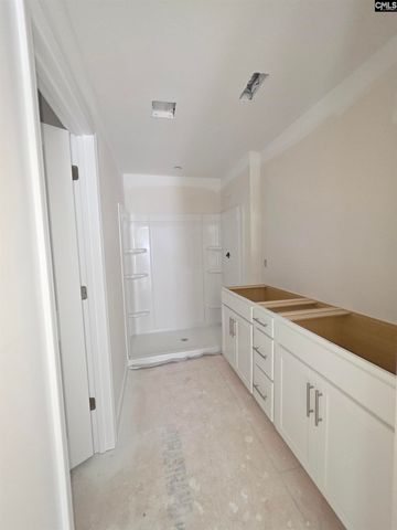126 Creekside Cottage Court, Blythewood, SC 29016