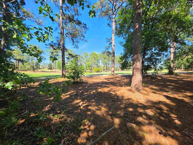 126 Creekside Cottage Court, Blythewood, SC 29016