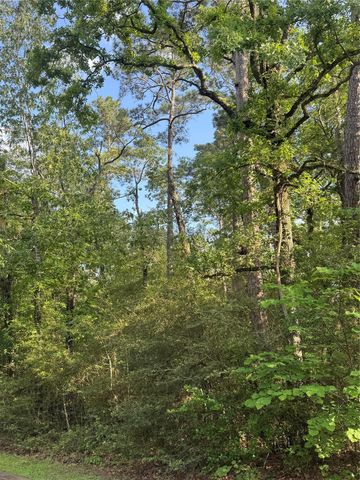 Sioux Court, Huntsville, TX 77320