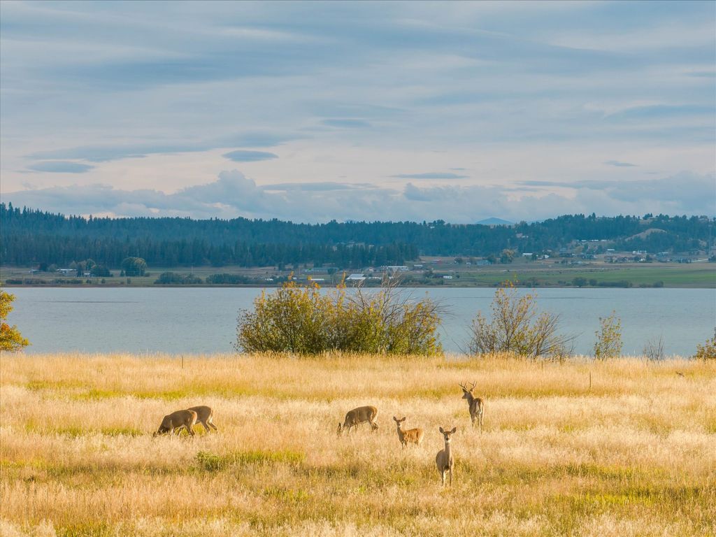 33899 Finley Point Road S, Polson, MT 59860 photo 18
