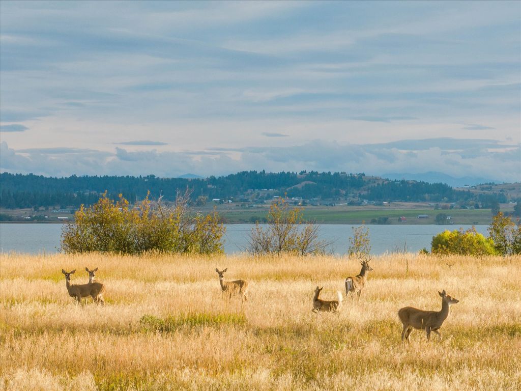 33899 Finley Point Road S, Polson, MT 59860 photo 19