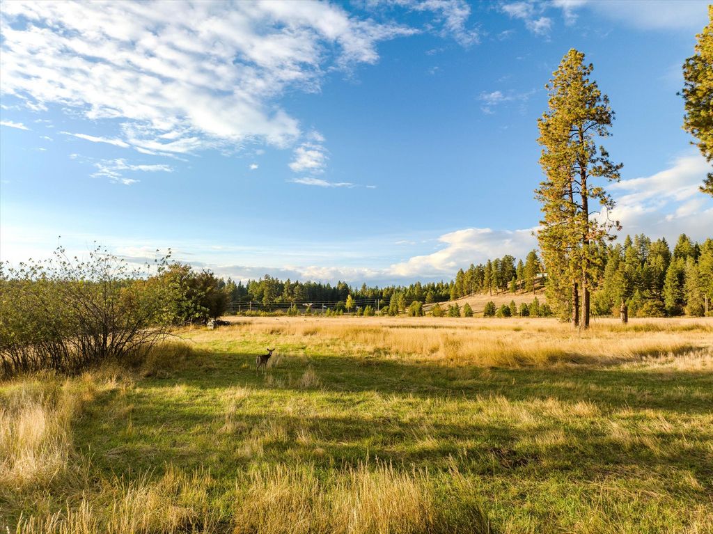 33899 Finley Point Road S, Polson, MT 59860 photo 48