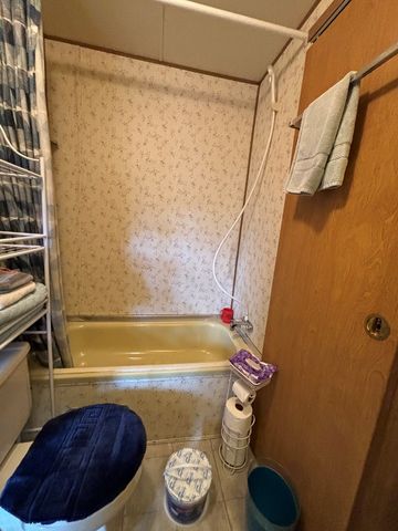 119 Laurel Branch Drive, Hayesville, NC 28904