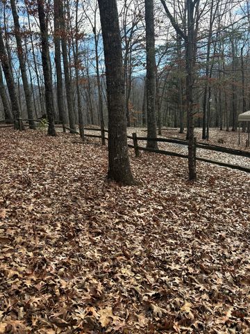 119 Laurel Branch Drive, Hayesville, NC 28904