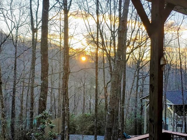 119 Laurel Branch Drive, Hayesville, NC 28904